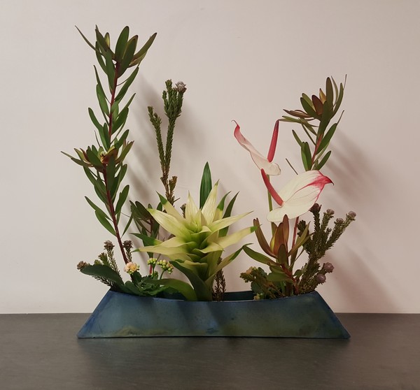 Ecole Ayame, une parenthèse japonaise au coeur des Minimes à&nbsp;Toulouse