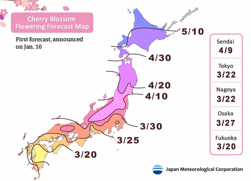 météo de la floraison des cerisiers au japon 2019