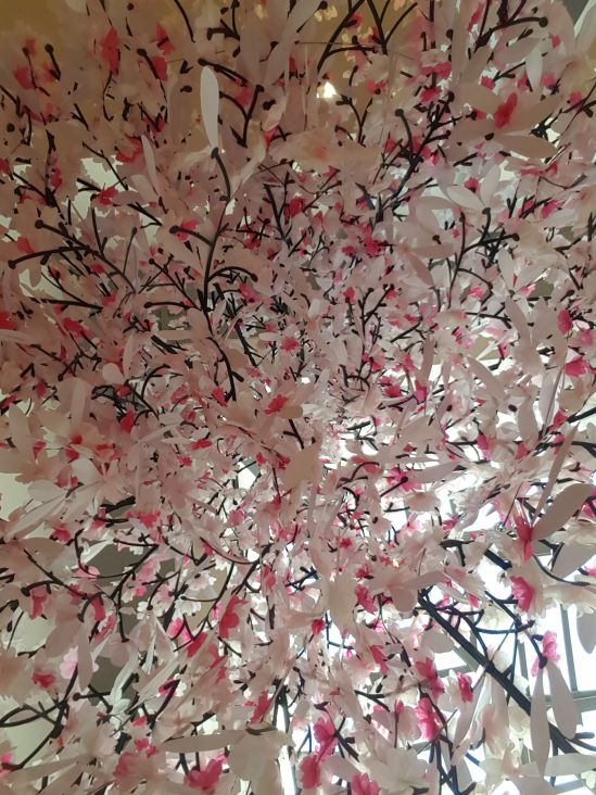 sakura uniqlo toulouse.jpg