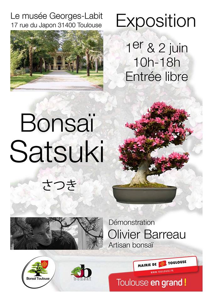 Une exposition de bonsaï au Musée Georges-Labit de&nbsp;Toulouse