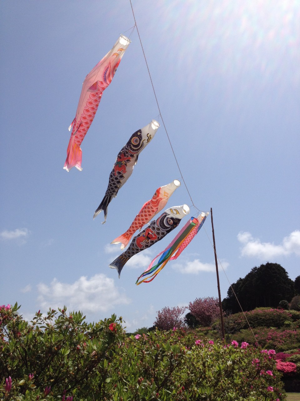 Le 5 mai au Japon on célèbre le &laquo;&nbsp;kodomo no&nbsp;hi&nbsp;&raquo;