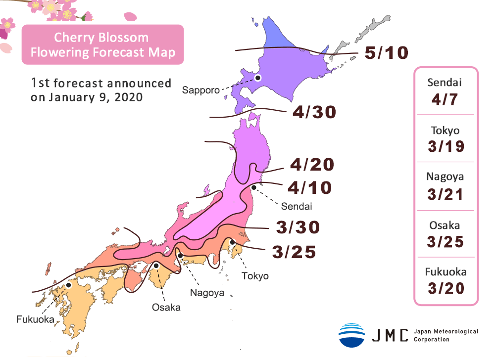 Voyage au Japon – Météo de la floraison des cerisiers pour&nbsp;2020