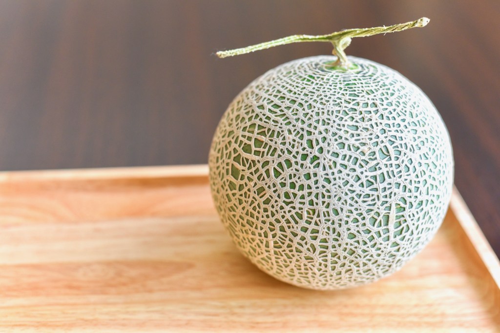 Japon – le prix des melons vendus aux enchères en baisse cette&nbsp;année