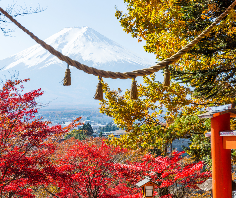 Tourisme – Les momiji pourraient avoir du retard par rapport à l&rsquo;année&nbsp;dernière